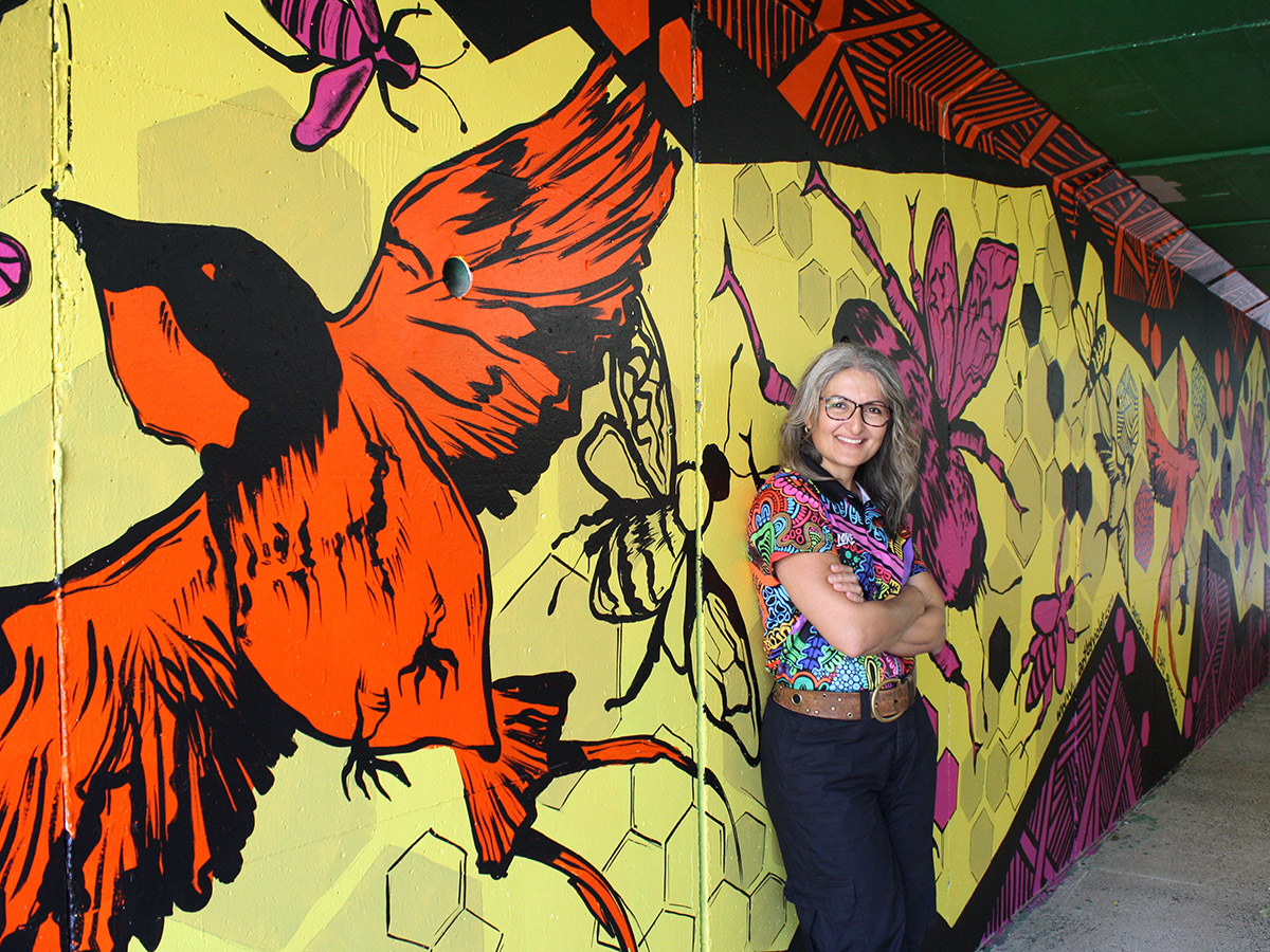 Youth murals splash colour into Cairns suburbs image