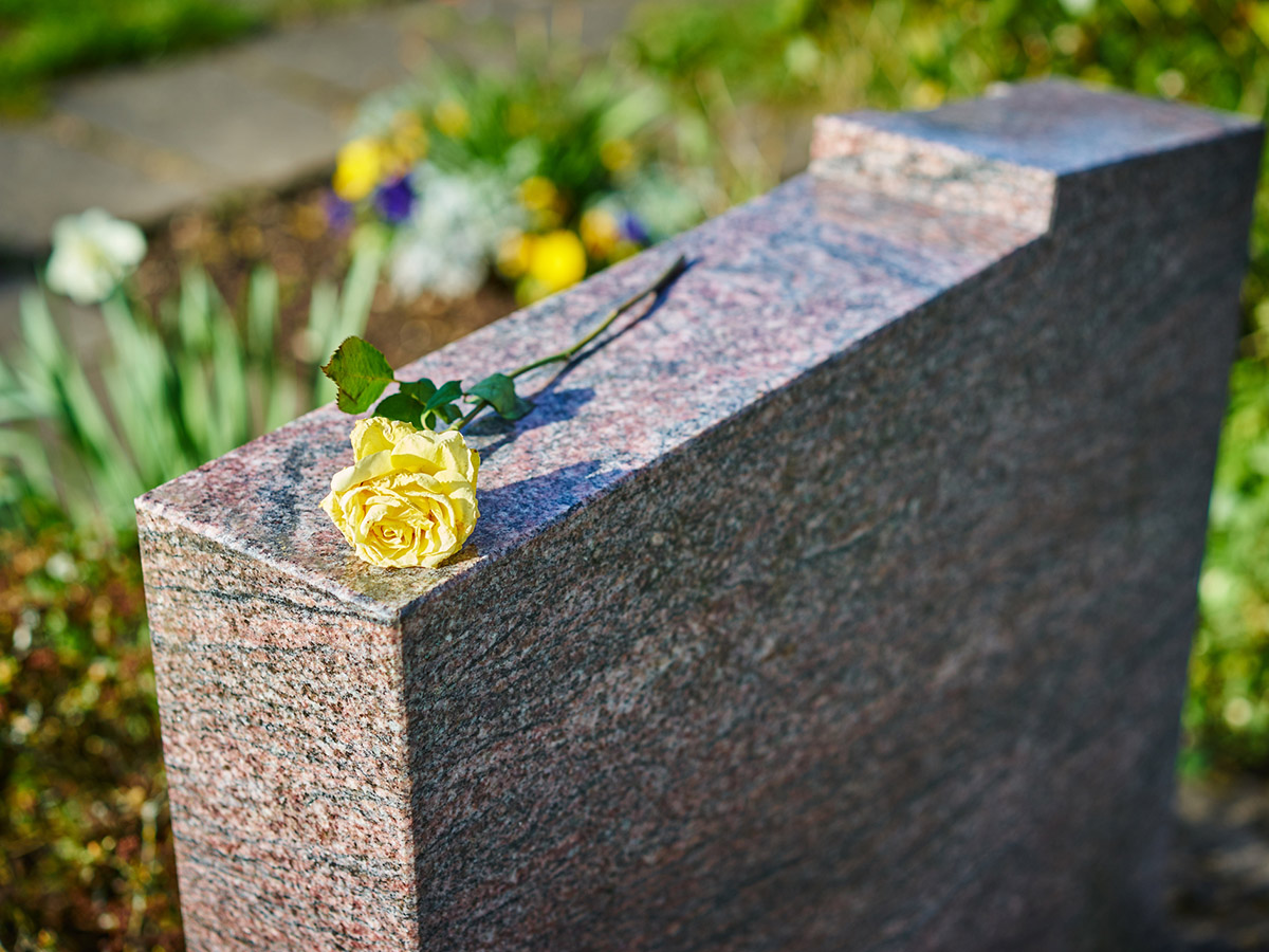 Pre-cyclone clean-up at Cairns and Gordonvale Cemeteries image